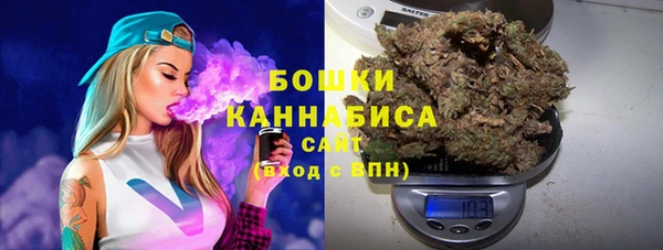 дживик Аркадак